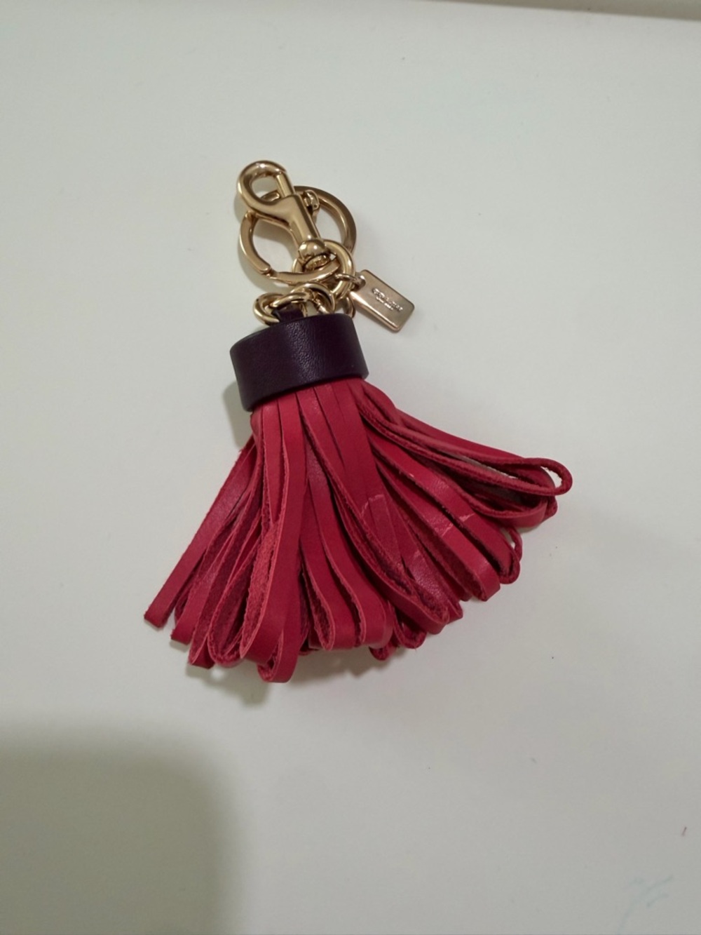 Coach Pink Leather Tassel Key Ring with Gold Hardware and Dark Brown Cap